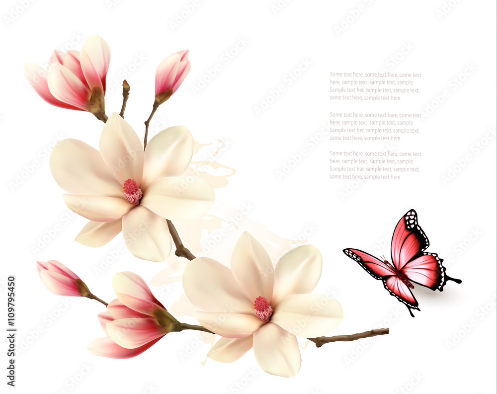 Naklejka premium Beautiful white magnolia branch with a butterfly. Vector.