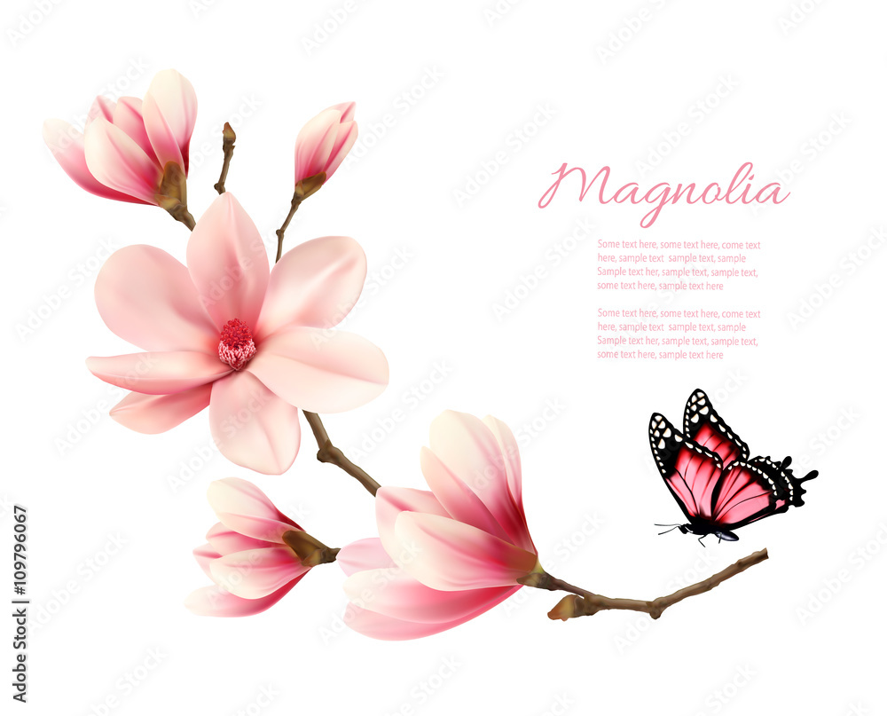 Fototapeta premium Beautiful pink magnolia branch with a butterfly. Vector.
