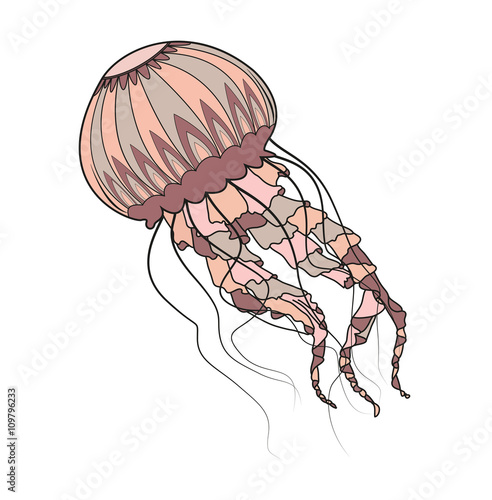 Colored and decorated jellyfish vector, medusa decorata e colorata vettoriale