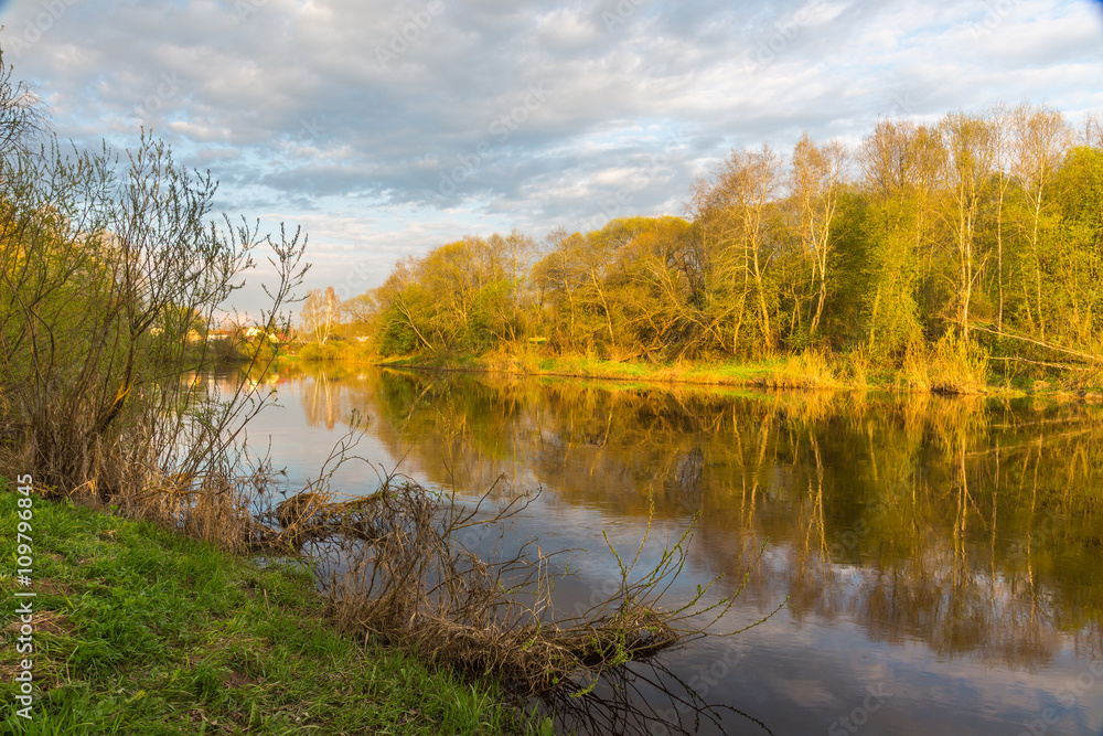 Bright spring river landscape.
River Cherёha. Spring. Pskov region, Russia

