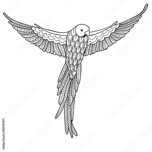 Vector illustration decorative bird on white background. Coloring book for adults.