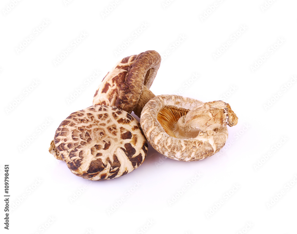 Obraz premium Dried shiitake mushroom isolate on white background