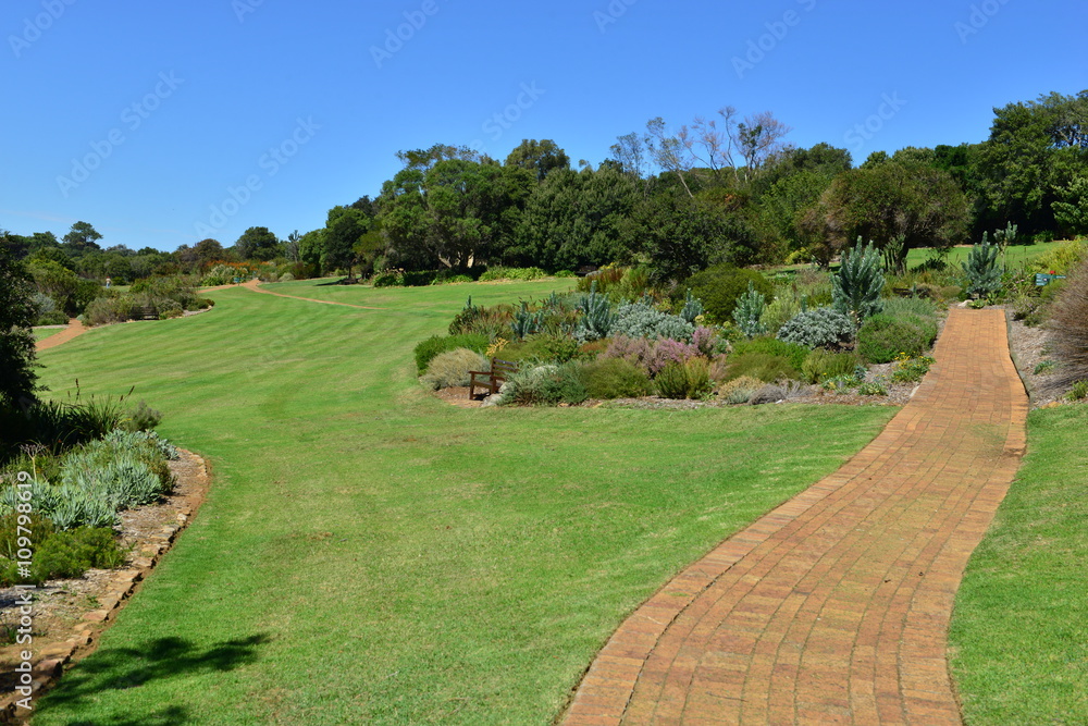 Naklejka premium Botanical gardens at the Western Cape of South Africa 