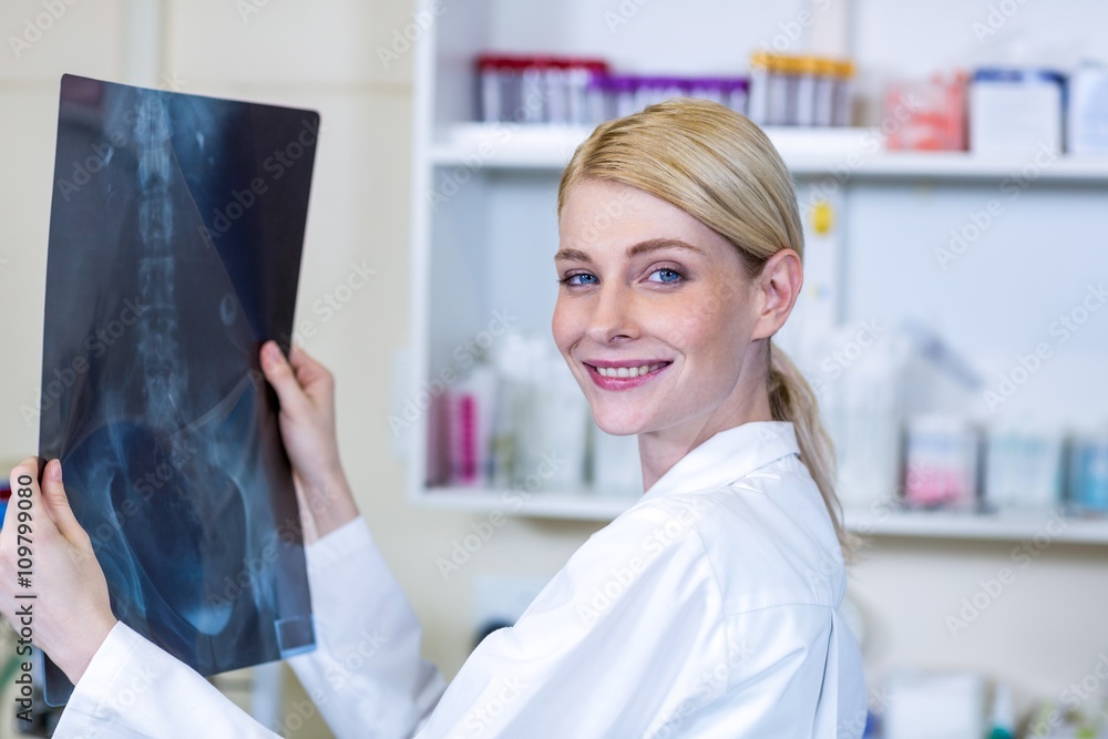 Obraz premium Portrait of woman vet bringing a x-ray