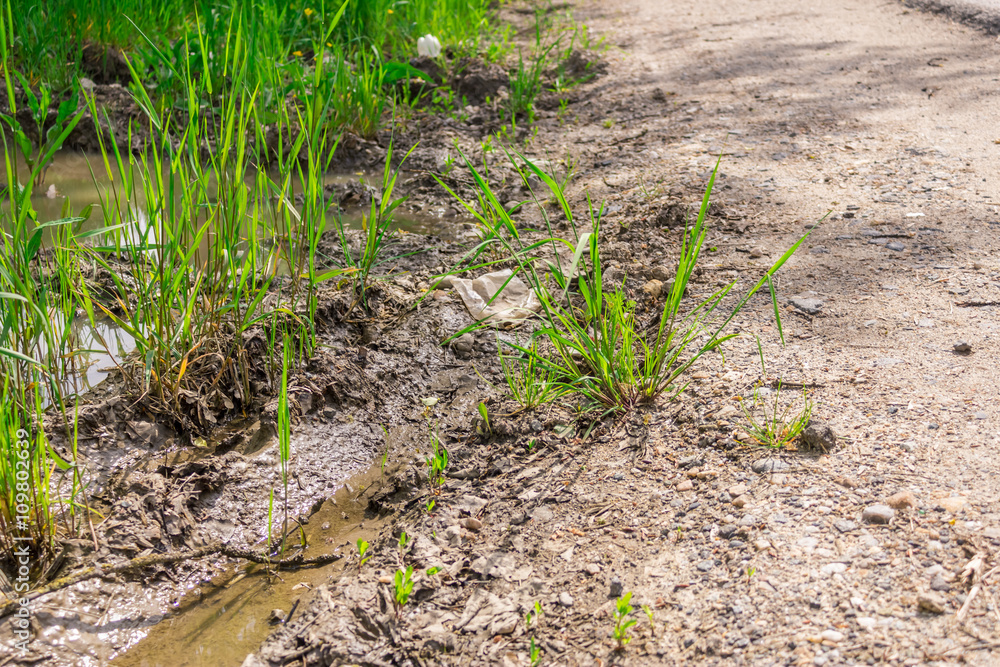 Grass and dry road Grass and dry road