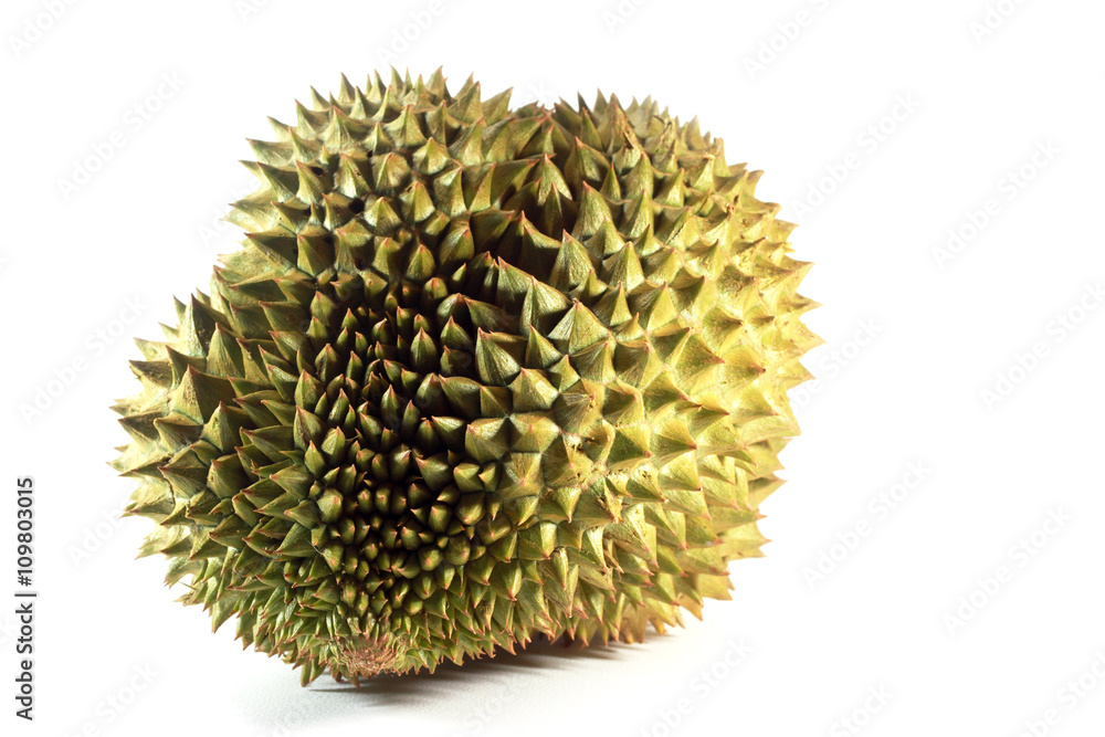 Durian (Durio Zibethinus Murray) in white background Durian (Durio Zibethinus Murray) in white background