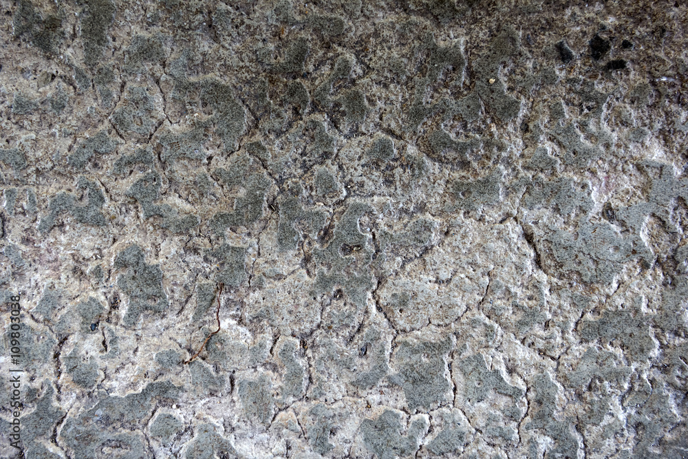 close up of cement floor texture for background close up of cement floor texture for background