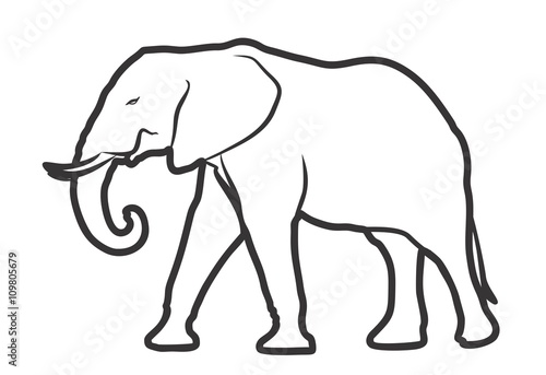 Sketch of elephant.