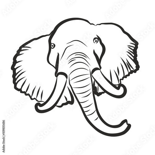 Sketch of elephant.