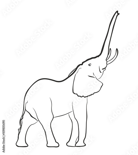 Sketch of elephant.