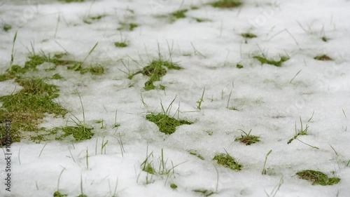 Timelapse video of snow melting revealing green grass.