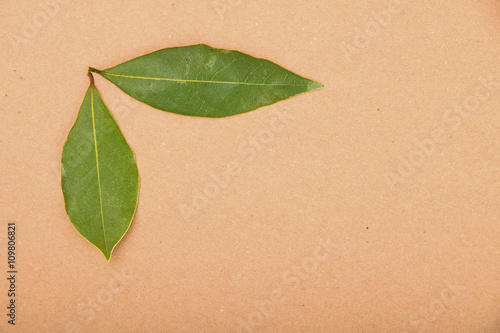 Two bay leaves on kraft paper