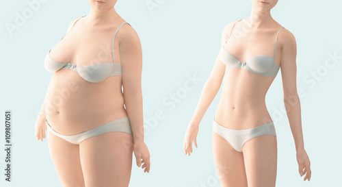 Donna magra e grassa dieta  photo