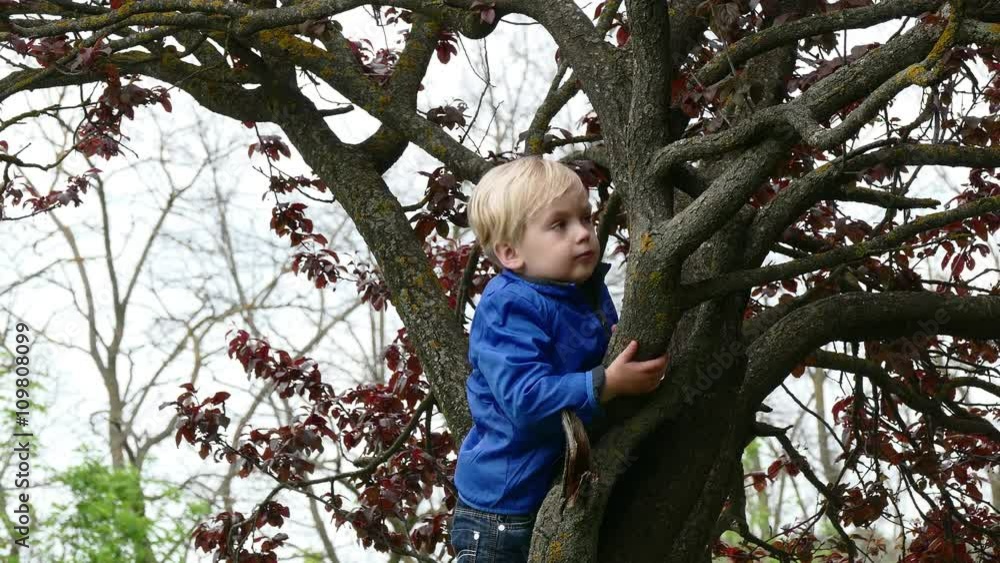 Young boy hugging a tree branch Young boy hugging a tree branch