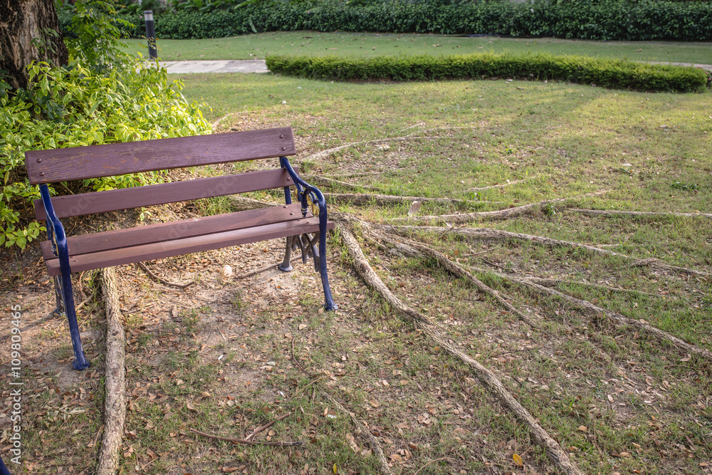 Wooden chairs in the garden