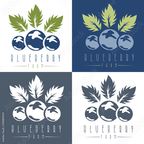 vector design template of the blueberry farm