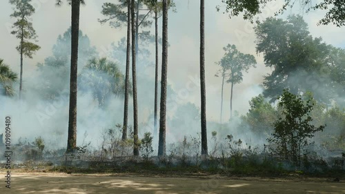 4K Florida Park Service Prescribed Burn 2