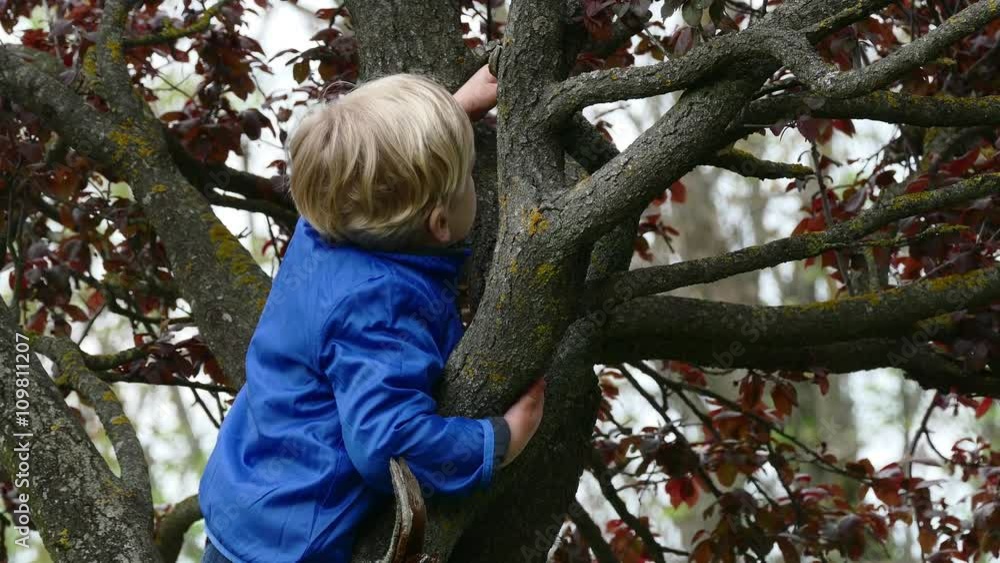 Young boy hugging a tree branch Young boy hugging a tree branch