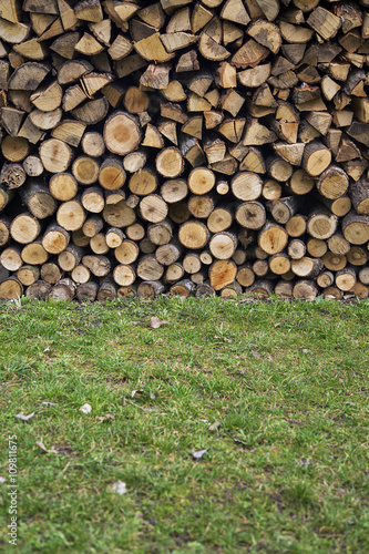 Timber