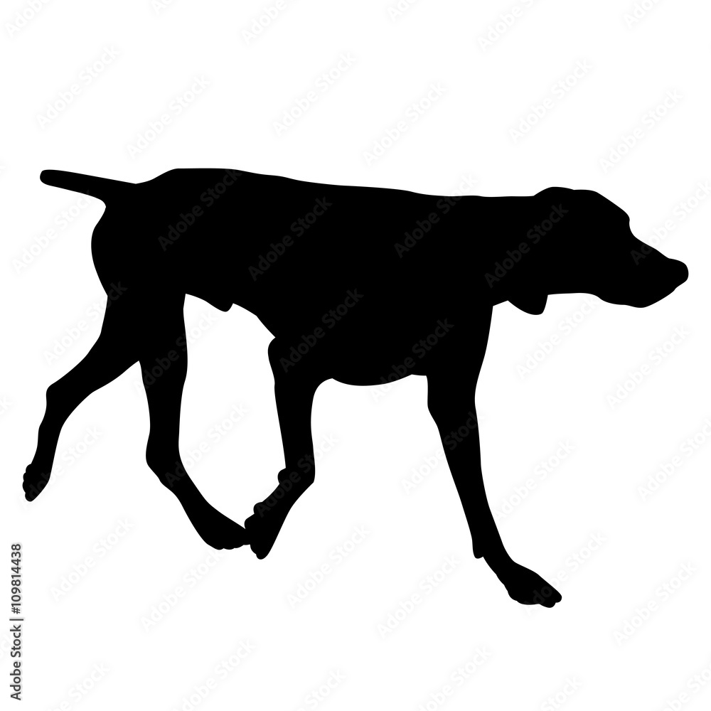 pointer dog black silhouette 