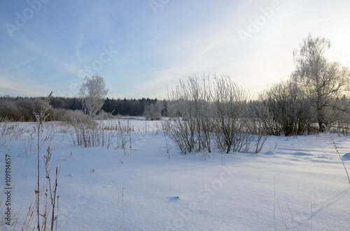 Wallpaper Mural Winter scene Torontodigital.ca