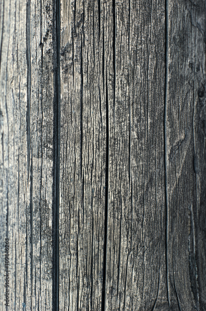 Gray old timbered wooden log vertical background