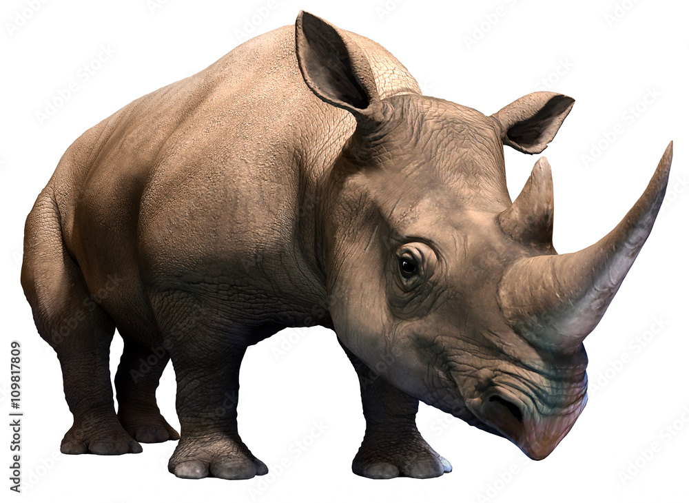 Fototapeta premium Black rhino standing 3D illustration