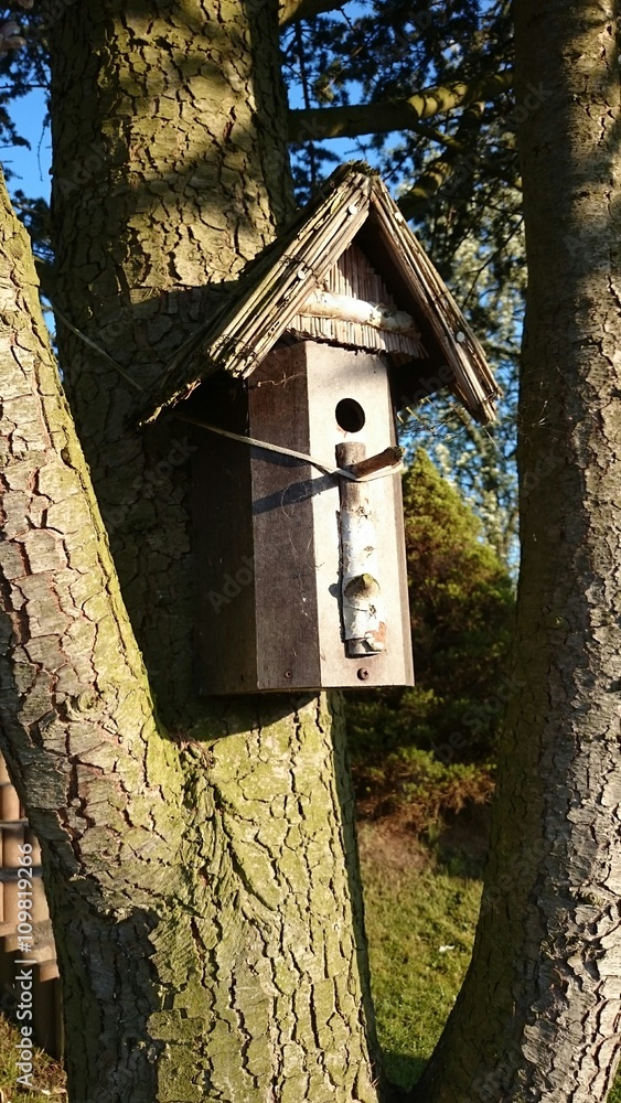 Vogelhaus Vogelhaus