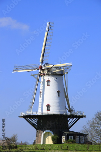 Eine Windmühle bei Veere
