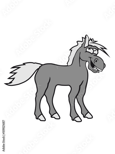 funny silly crazy comic cartoon horse laugh silly stallion donkey