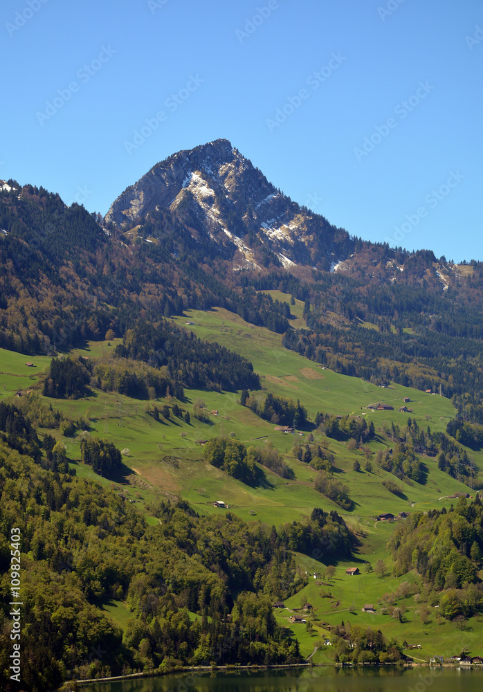 Rigi Hochflue Rigi Hochflue