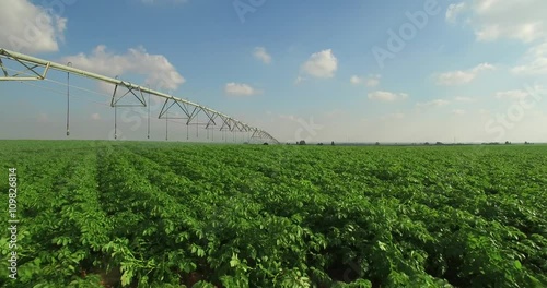  agriculture - sprinklers, Irrigation green field