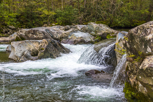 Forest creek with waterfalls.