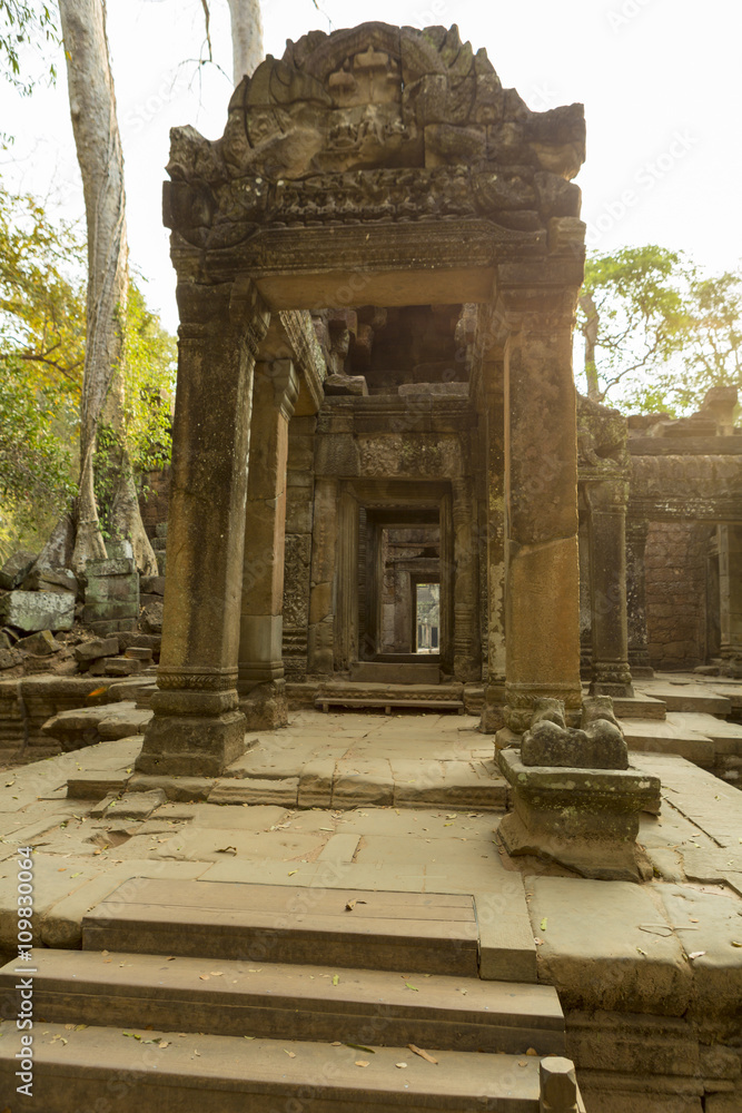 Details of Prasat Ta Prohm Temple in Angkor Thom, Cambodia