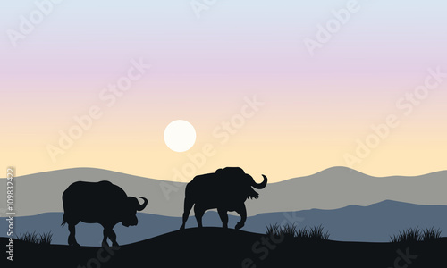 Silhouette of bull in hills © wongsalam77