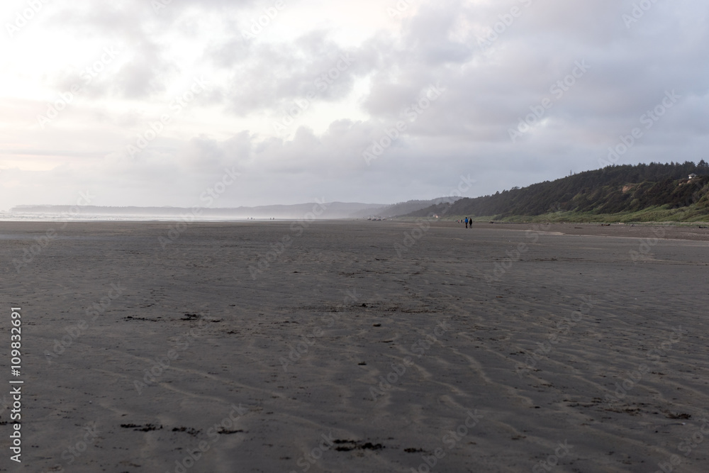 Pasific Beach state park in washington Pasific Beach state park in washington