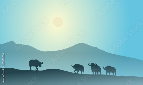 Bull silhouette in mountain scenery