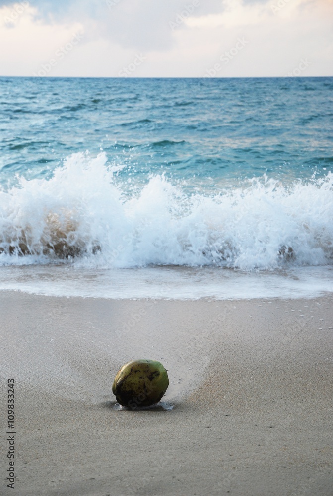 A coconut on the beach. A coconut on the beach.