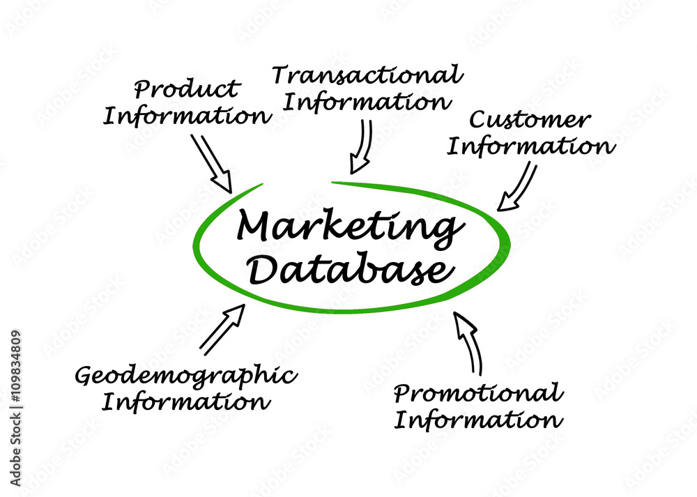 Fototapeta premium Diagram of Marketing Database
