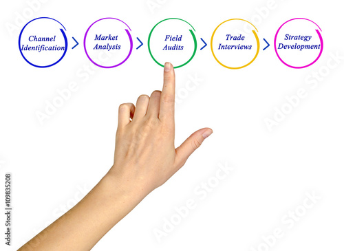 Diagram of process