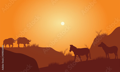 Silhouette of bison in hills