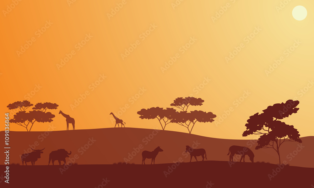 Silhouette of bison, zebra and giraffe