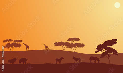 Silhouette of bison  zebra and giraffe