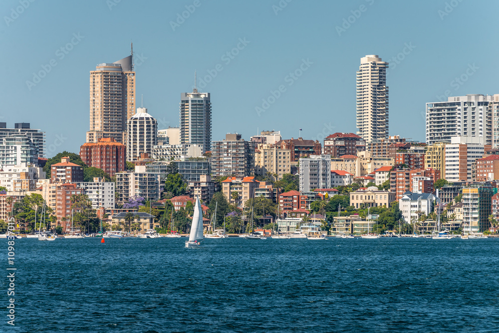 Fototapeta premium Sydney City Skyline - Elizabeth bay
