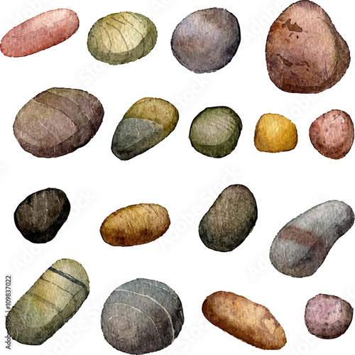vector sea stones drawing in watercolor