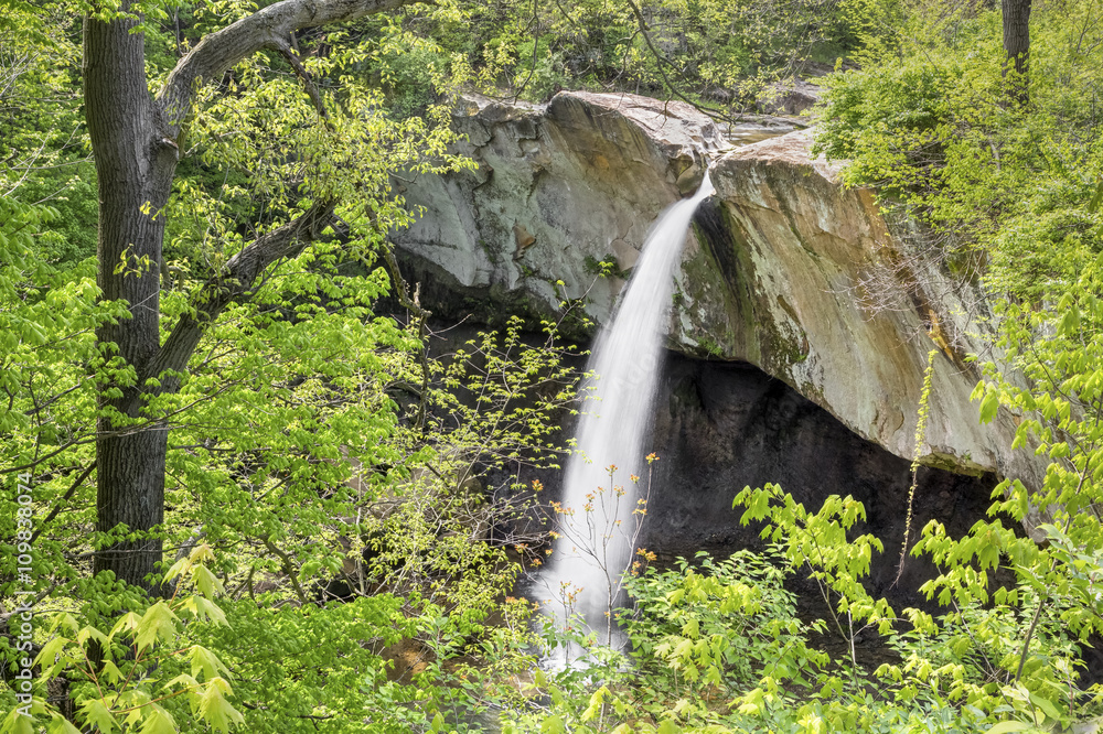 Obraz premium Williamsport Falls, a waterfall in warren County, Indiana, plunges over a sandstone cliff as viewed through trees in spring.