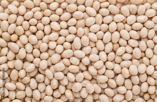 Navy beans organic, Closeup macro shot.