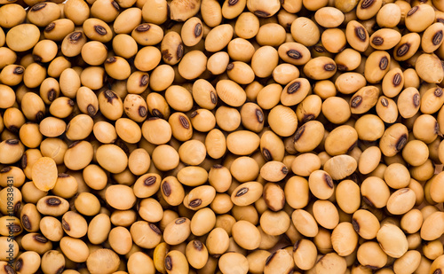 Soy beans organic, Closeup macro shot.