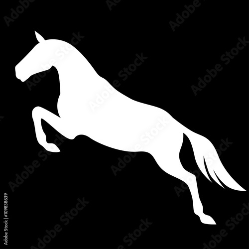Silhouette of jumping horse on black background