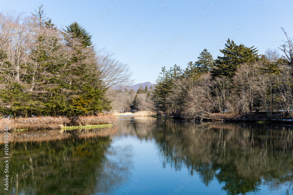 Beautiful lake